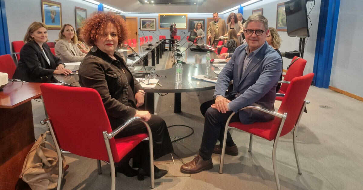 Asistentes reunión consejo asesor discapacidad